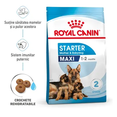 ROYAL CANIN Maxi Starter Mother & Babydog, mama și puiul, hrană uscată câini, 15kg