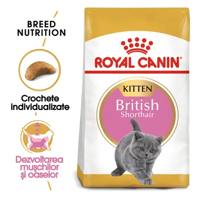 ROYAL CANIN British Shorthair Kitten, hrană uscată pisici junior, 2kg