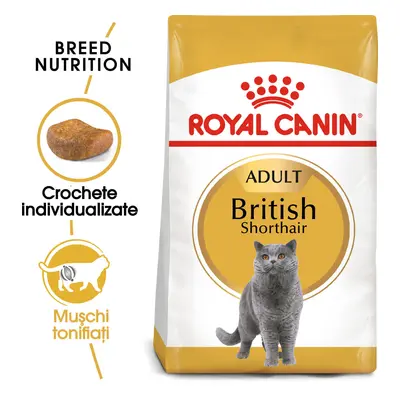 ROYAL CANIN British Shorthair Adult, hrană uscată pisici, 10kg