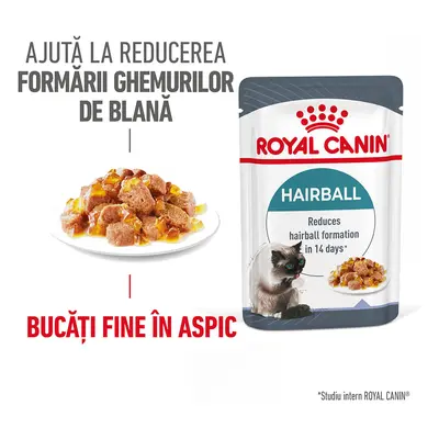 ROYAL CANIN Hairball Care Adult hrană umedă pisici limitarea ghemurilor de blană (în aspic), 85g