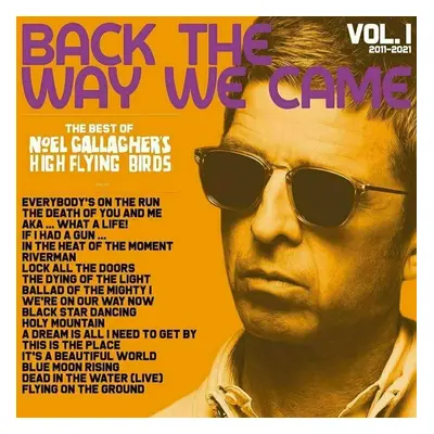 Noel Gallagher - Back The Way We Came Vol. 1 (Box Set) (4 LP + 7" Vinyl + 3 CD)