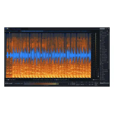 iZotope RX 11 Standard EDU (Produs digital)