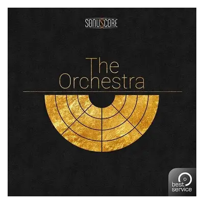 Best Service The Orchestra (Produs digital)