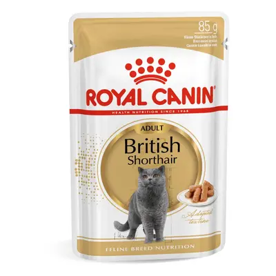 Royal Canin British Shorthair Adult - hrană umedă 12 x 85 g