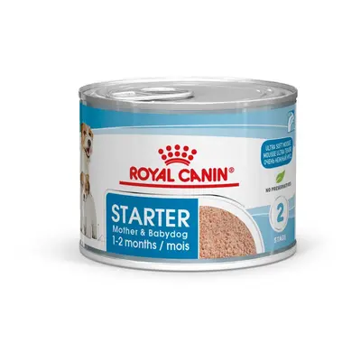 Royal Canin Starter Mother & Babydog Mousse 12 x 195 g