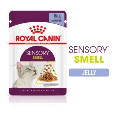 Royal Canin Sensory Smell - Hrană umedă bucăți de carne în jeleu 12 x 85 g