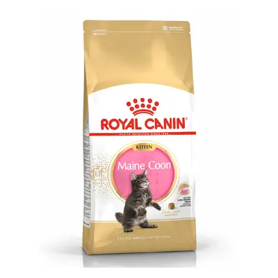 Royal Canin Maine Coon Kitten 2 kg