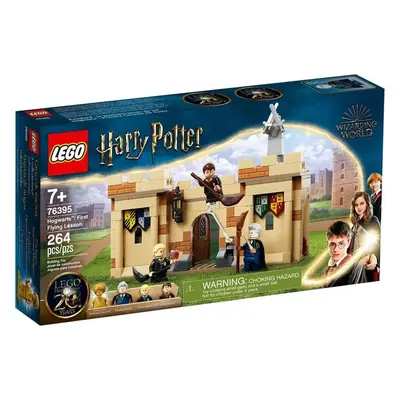 LEGO Harry Potter Hogwarts Prima lectie de zbor