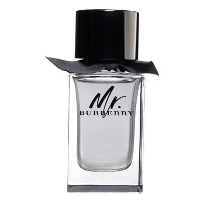 Burberry Mr. Burberry - EDT ml