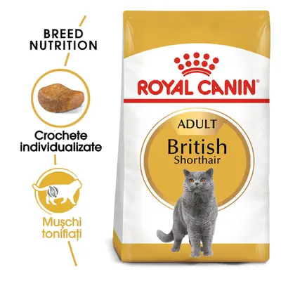 ROYAL CANIN British Shorthair Adult 20 kg (2 x 10 kg) hrană uscată pentru pisici adulte British 