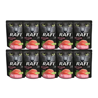 DOLINA NOTECI Rafi Cat mancare umeda pisici, cu somon 10x300 g