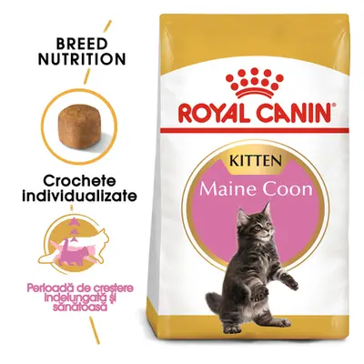 ROYAL CANIN Maine Coon Kitten hrană uscată pentru pisoi Maine Coon până la vârsta de 15 luni 20 