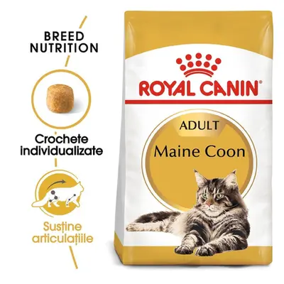 ROYAL CANIN Hrana uscata pentru pisici adulte rasa Maine Coon 10 kg + hrana umeda Mainecoon 12x8