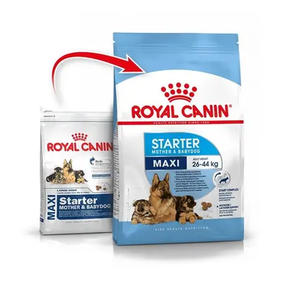 Royal Canin Maxi Starter Mother & Babydog gestatie/ lactatie pui hrana uscata caine 15 kg