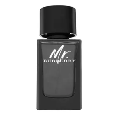 Burberry Mr. Burberry Eau de Parfum bărbați 100 ml