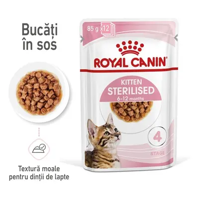 Royal Canin Kitten Sterilised hrana umeda pisica sterilizata junior (in sos), 12 x 85 g