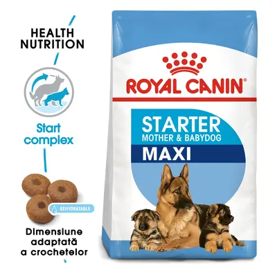 Royal Canin Maxi Starter Mother & Babydog, mama si puiul, hrana uscata caine