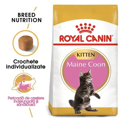 Royal Canin Maine Coon Kitten hrana uscata pisica junior