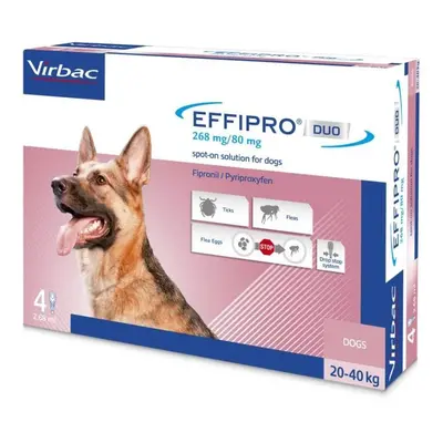 Effipro Duo Dog L 268 mg pipete antiparazitare caini talie mare (20 - 40 kg), 4 pipete