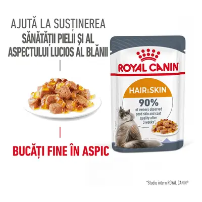 Royal Canin Hairball Care Adult hrana umeda pisica, limitarea ghemurilor de blana (in aspic), 12