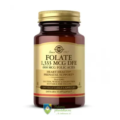 Folacin (Acid Folic) 800mcg 100 tablete