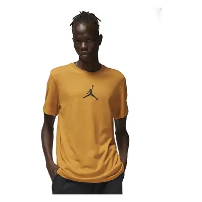 Tricou NIKE pentru barbati M JORDAN JUMPMAN DF SS CREW - CW5190712