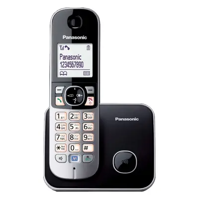 Telefon DECT Panasonic KX-TG6811FXM, gri