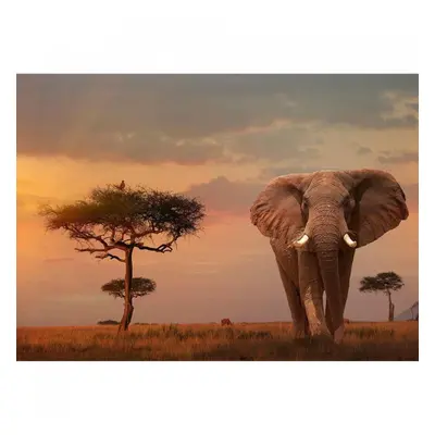 Puzzle Elefant In Masai Mara, 1000 Piese