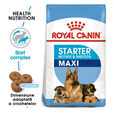 Royal Canin Maxi Starter Mother Babydog, mama si puiul, hrana uscata caine, 4 kg