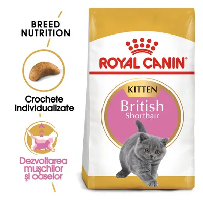 Royal Canin British Shorthair Kitten hrana uscata pisica junior, 400 g