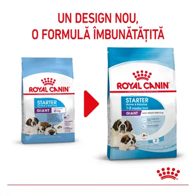 Royal Canin Medium Starter Mother Babydog, mama si puiul, hrana uscata caine, 15 kg