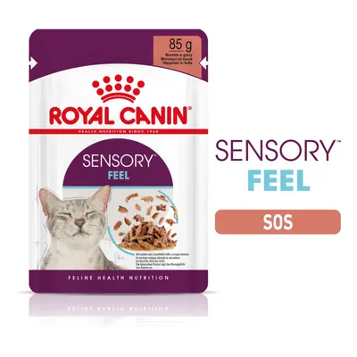 Royal Canin Sensory Feel, hrana umeda pisici, stimularea simtului tactil (in sos), 12 x 85 g