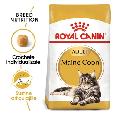 Royal Canin Maine Coon Adult hrana uscata pisica, 10 kg