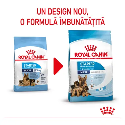 Royal Canin Maxi Starter Mother Babydog, mama si puiul, hrana uscata caine, 15 kg