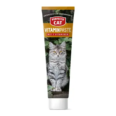 Hrana umeda pentru pisici Perfecto Cat, Crema cu vitamine, 100g