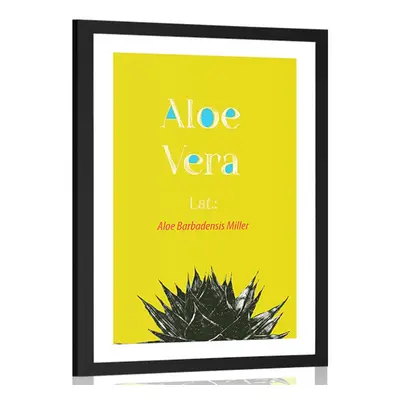 Poster cu passepartout Aloe Vera miraculoasă