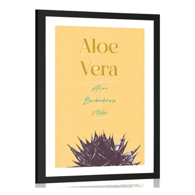 Poster cu passepartout și cu inscripție elegantă Aloe Vera