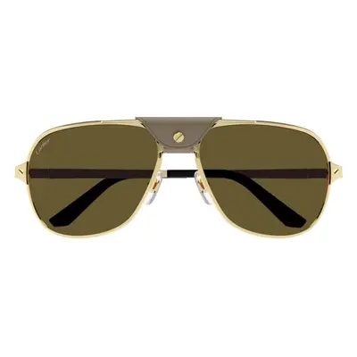 Ochelari de soare barbati Cartier CT0165S 011