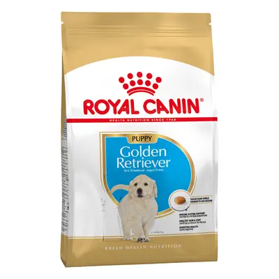 3kg Royal Canin Breed Golden Retriever Puppy Hrană uscată câini