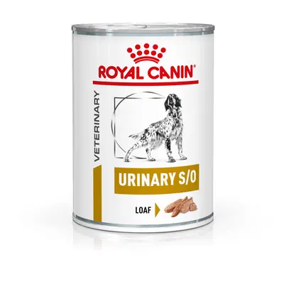 24x410g Urinary S/O Mousse Royal Canin Veterinary Canine Hrană câini