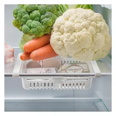 Recipient organizator pentru frigider Orion, 28,5 x 16,5