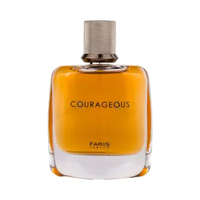 Parfum Courageous, Fariis, apa de parfum 100 ml, barbati - inspirat din Armani Stronger With You