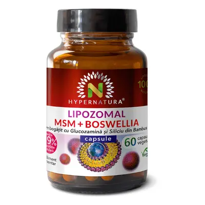 Lipozomal MSM + Boswellia + Glucozamina + Siliciu Organic, 60 capsule, Hypernatura