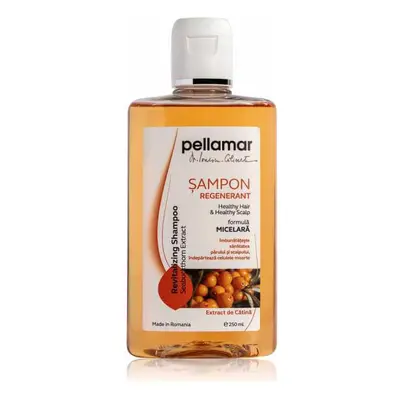 Sampon regenerant cu extract de catina Beauty Hair, 250 ml, Pellamar