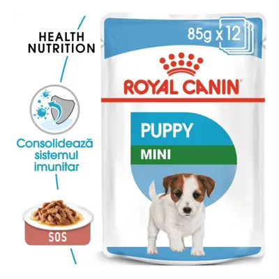 Royal Canin Hrana Umeda Mini Puppy 12x85 g